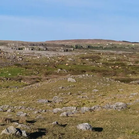 Coastal Charm Knockfin Cross Roads