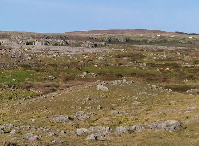 Coastal Charm Knockfin Cross Roads