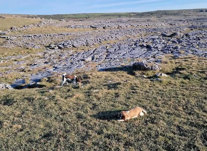 Coastal Charm Knockfin Cross Roads
